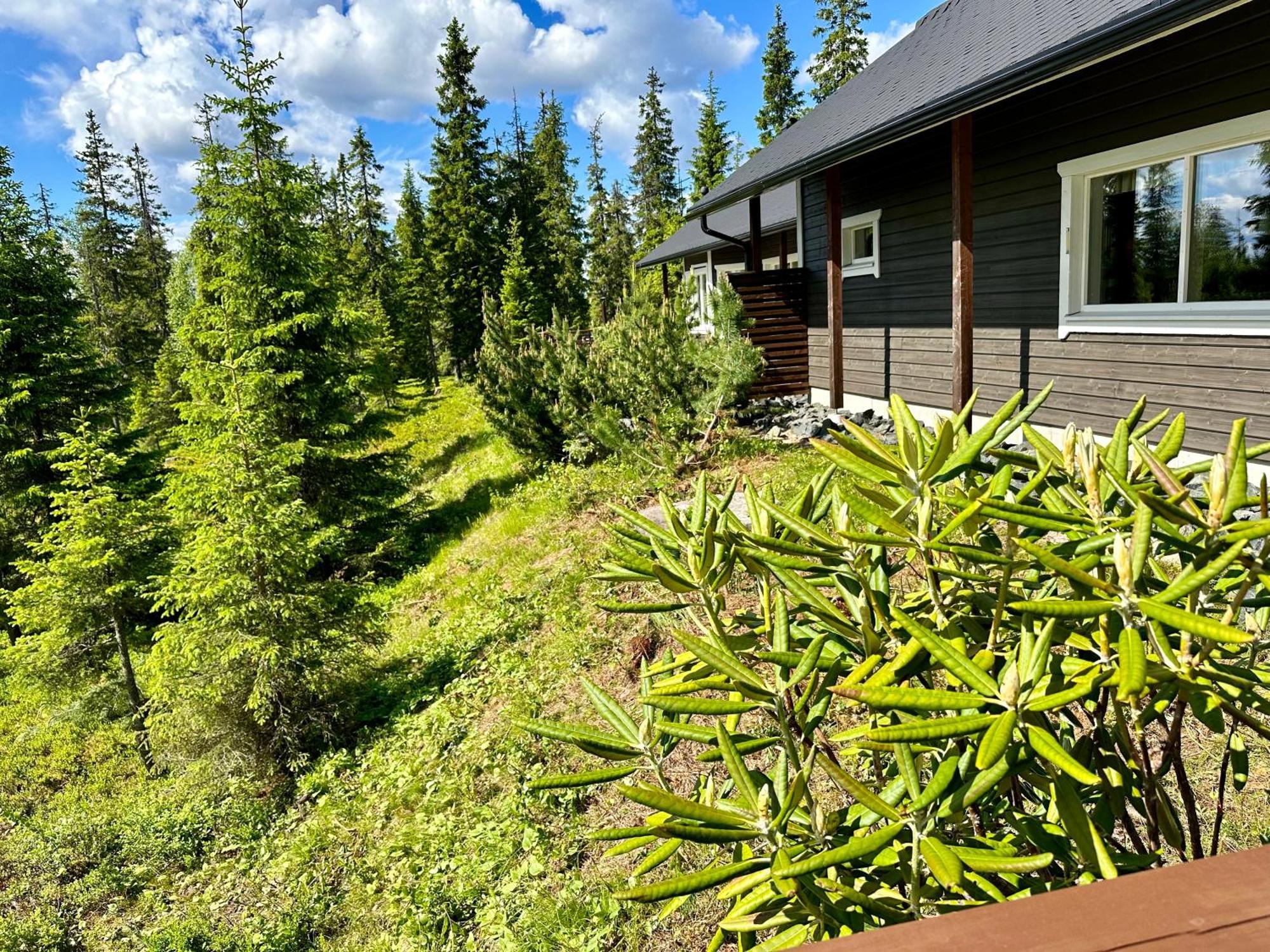 Hietavilla Aurora Rukatunturi Exterior foto